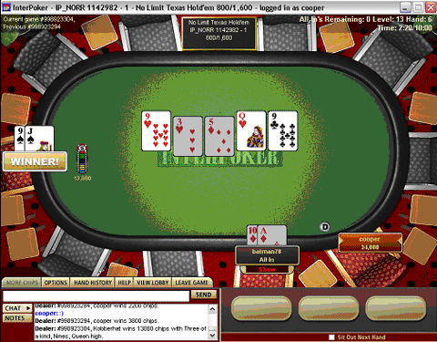 Webmaster sl�r dem rundt